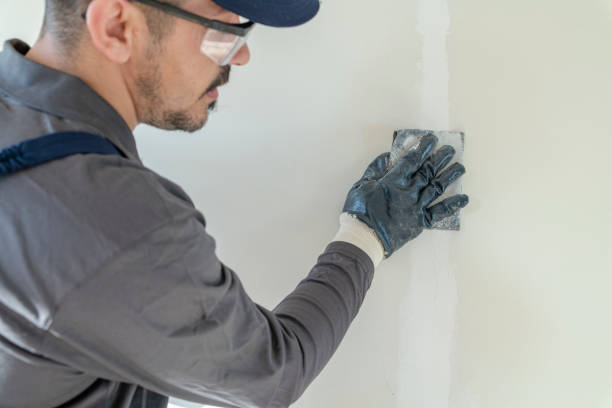 Trusted Lower Lake, CA Painting & Drywall Services Experts